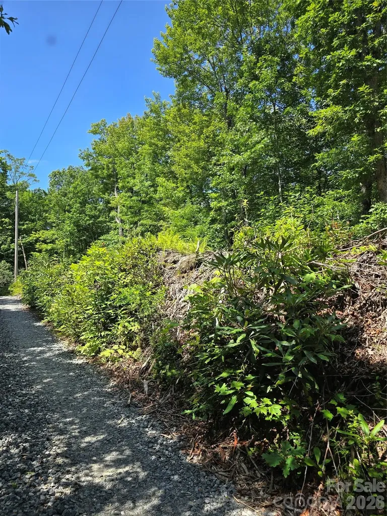 0000 Nancy Mountain Road Rosman NC 28772