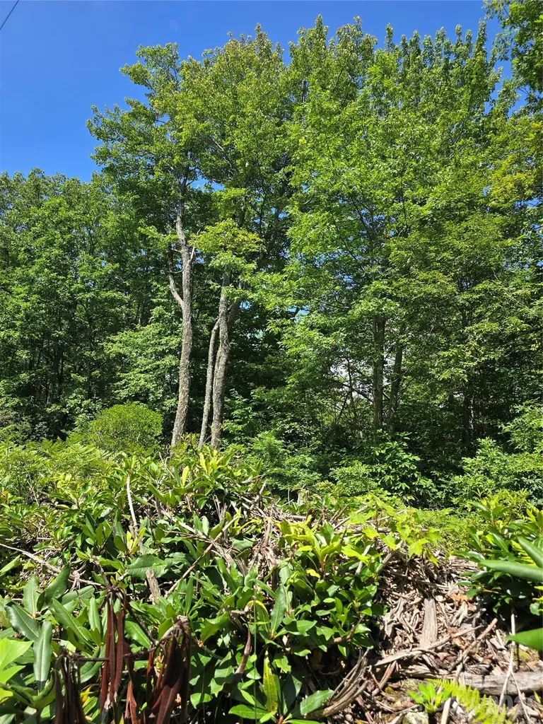 0000 Nancy Mountain Road Rosman NC 28772
