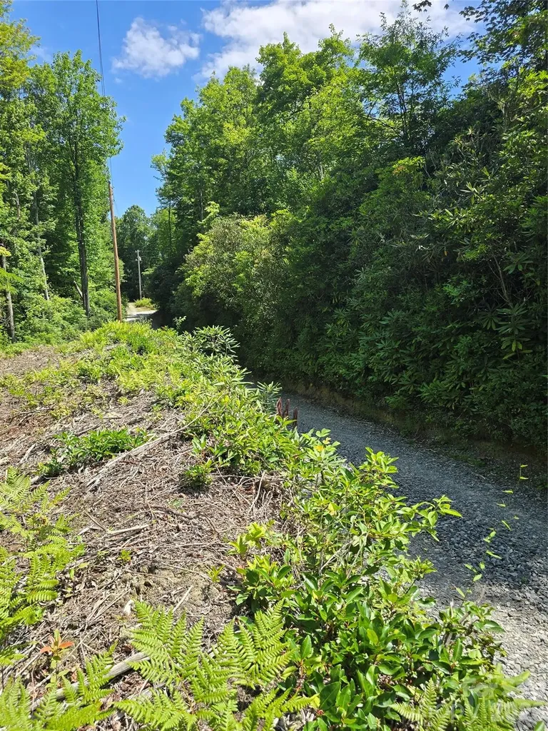0000 Nancy Mountain Road Rosman NC 28772