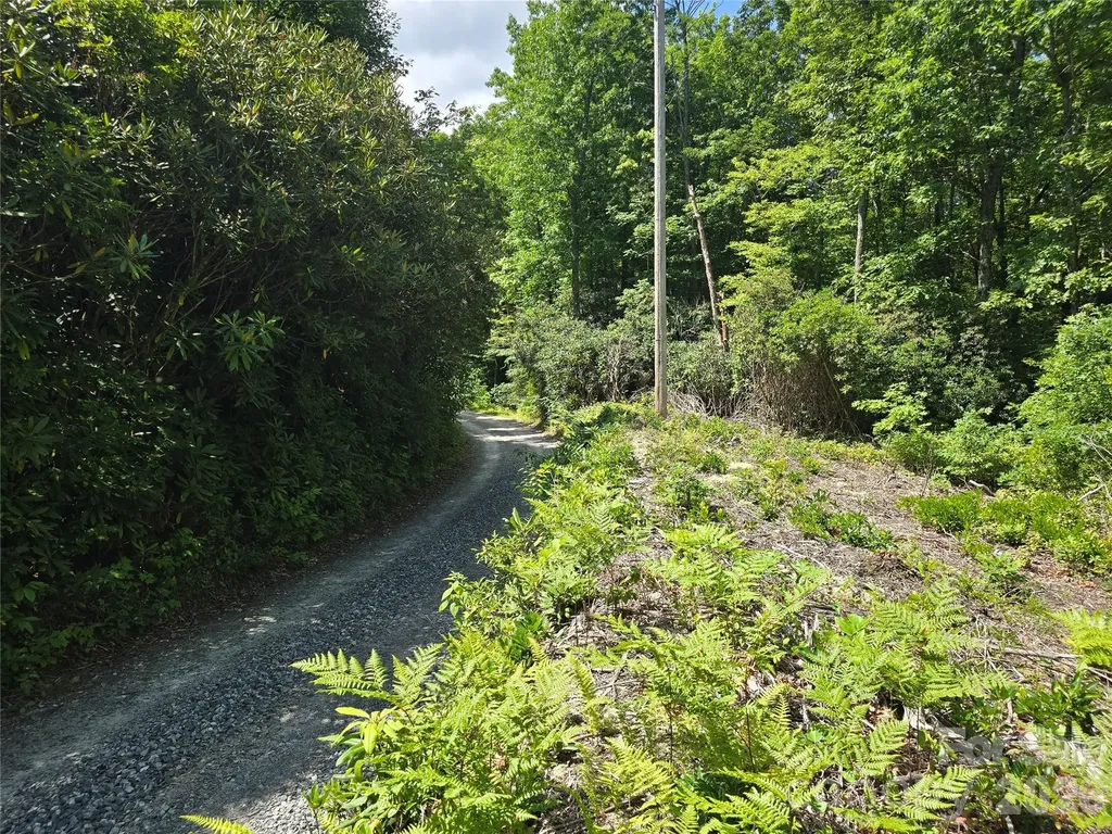 0000 Nancy Mountain Road Rosman NC 28772