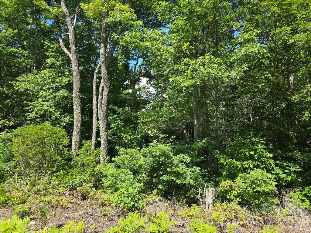 0000 Nancy Mountain Road Rosman NC 28772