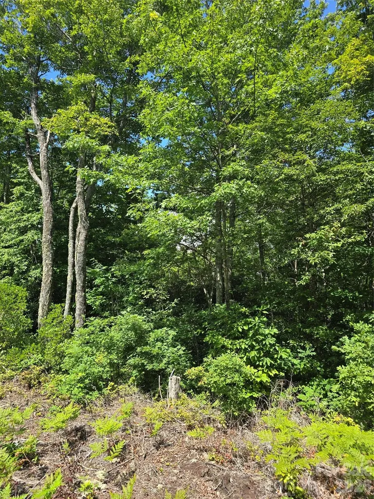 0000 Nancy Mountain Road Rosman NC 28772