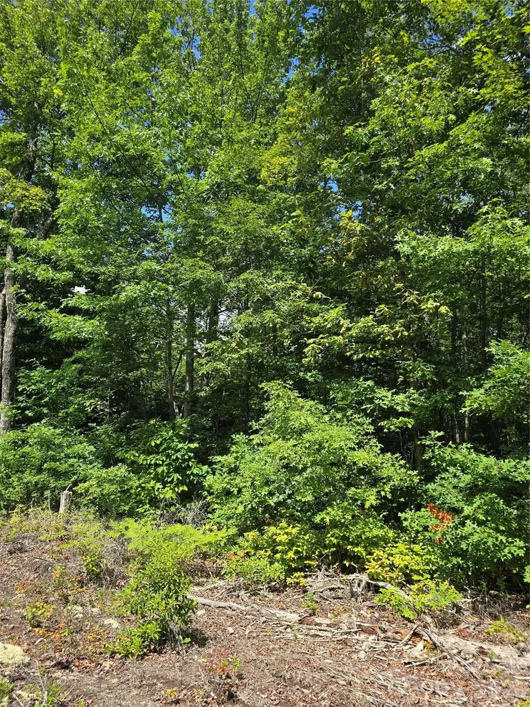 0000 Nancy Mountain Road Rosman NC 28772