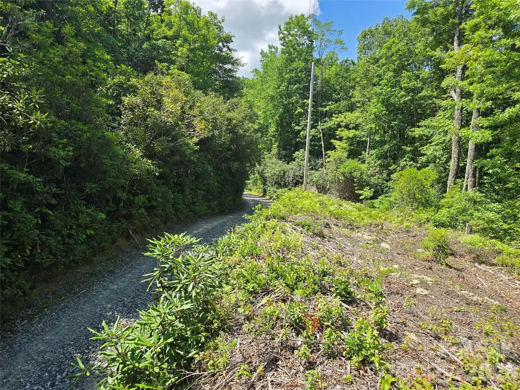 0000 Nancy Mountain Road Rosman NC 28772