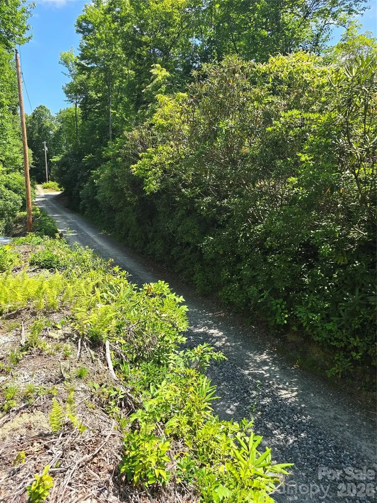 0000 Nancy Mountain Road Rosman NC 28772