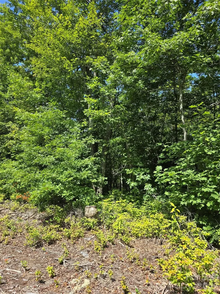0000 Nancy Mountain Road Rosman NC 28772