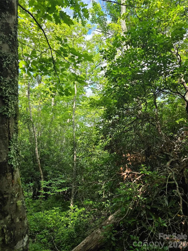 0000 Nancy Mountain Road Rosman NC 28772