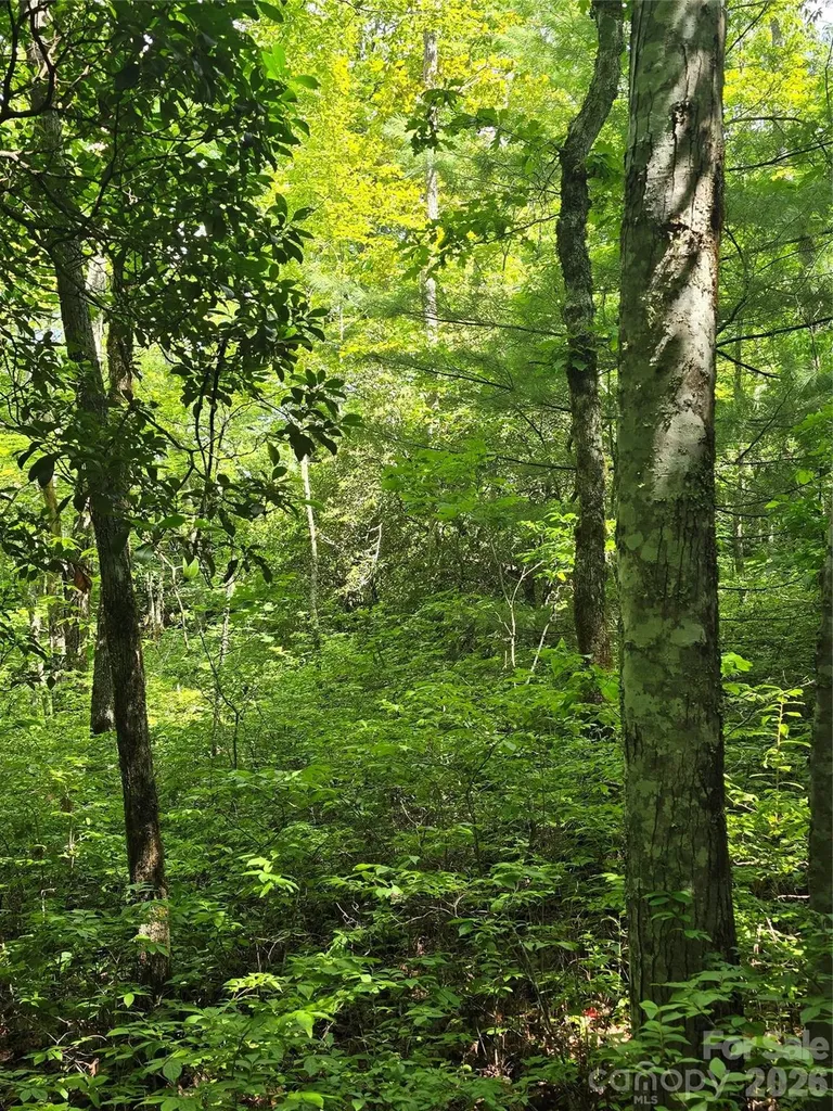 0000 Nancy Mountain Road Rosman NC 28772
