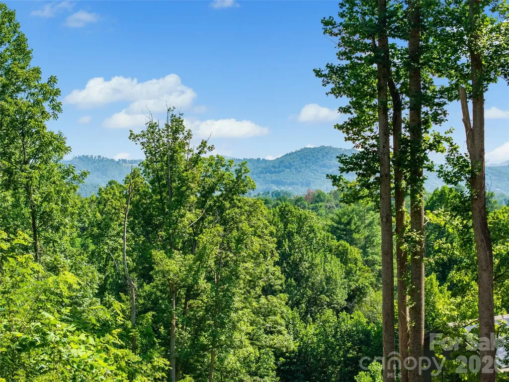 51 Wind Stone Drive Asheville NC 28804