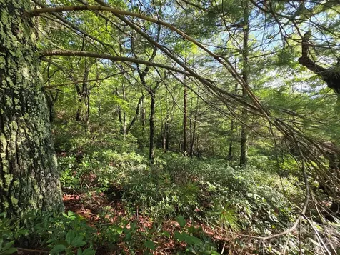 Lot 72 Fawn Lane Marion NC 28752