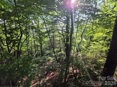 Lot 72 Fawn Lane Marion NC 28752