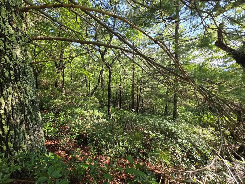 Lot 73 Fawn Lane Marion NC 28752