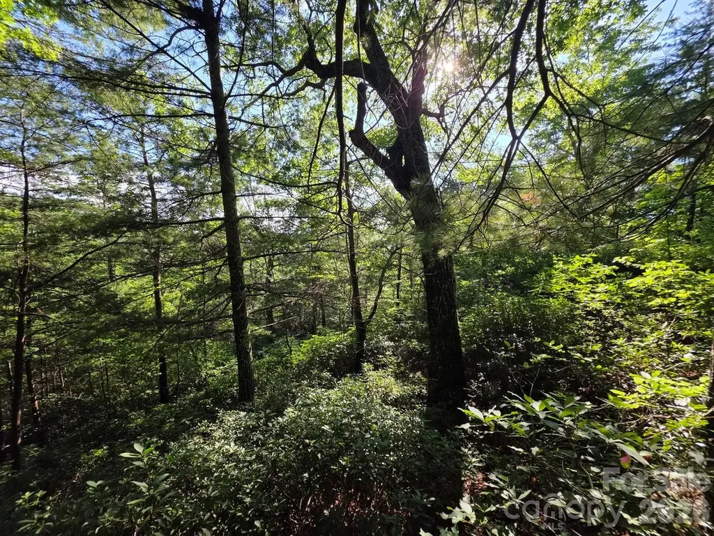 Lot 73 Fawn Lane Marion NC 28752