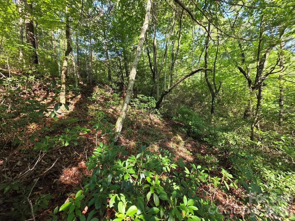 Lot 73 Fawn Lane Marion NC 28752