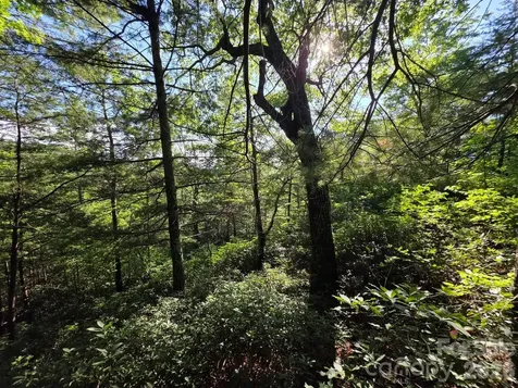 Lot 73 Fawn Lane Marion NC 28752