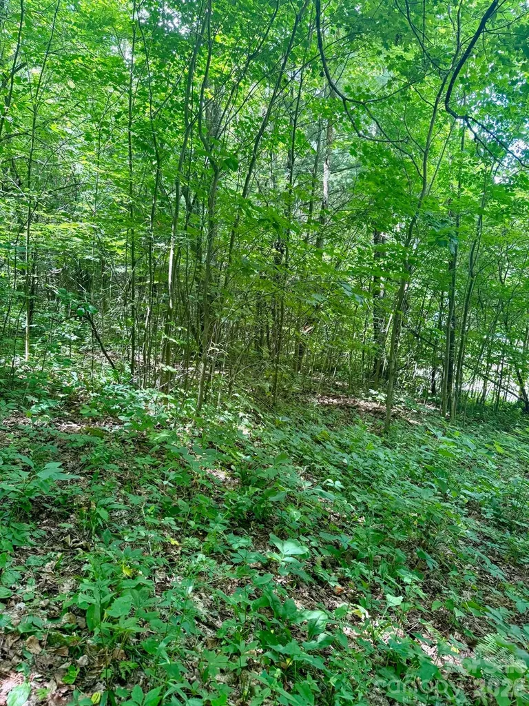 35 Flying Hawk Way Clyde NC 28721