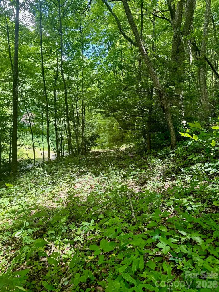 35 Flying Hawk Way Clyde NC 28721