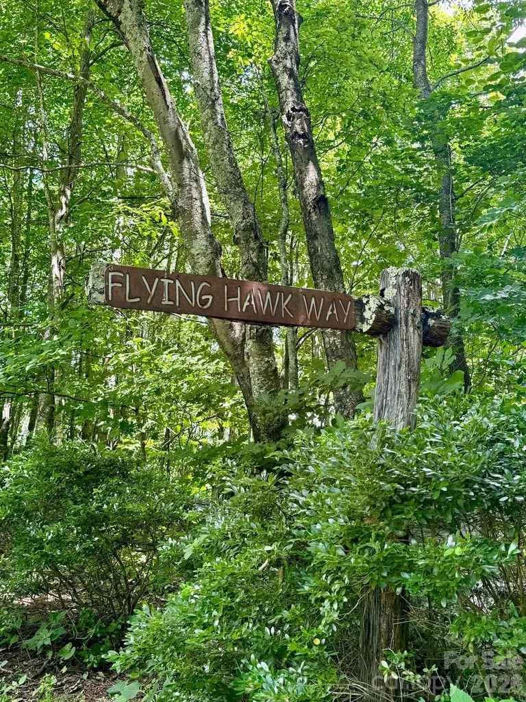 35 Flying Hawk Way Clyde NC 28721