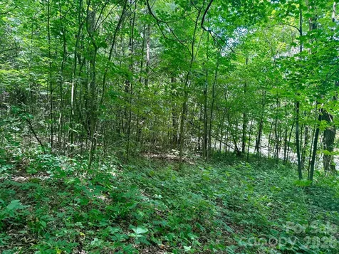 35 Flying Hawk Way Clyde NC 28721