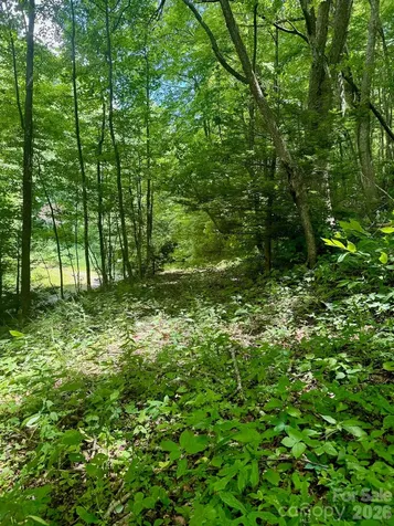 35 Flying Hawk Way Clyde NC 28721