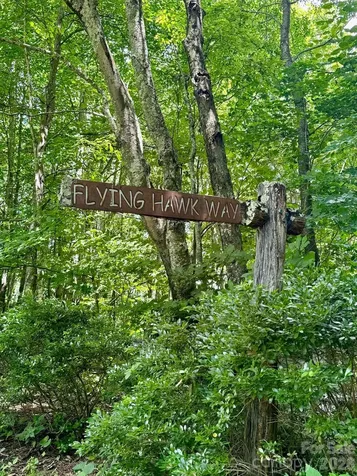 35 Flying Hawk Way Clyde NC 28721