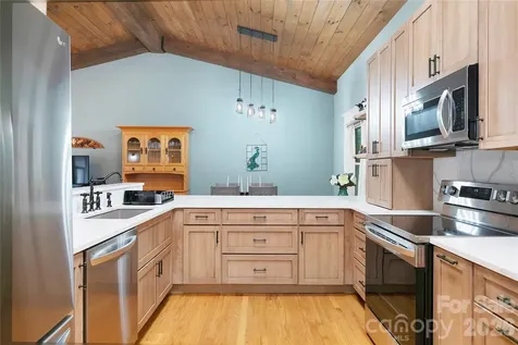 2 Duya Court Brevard NC 28712