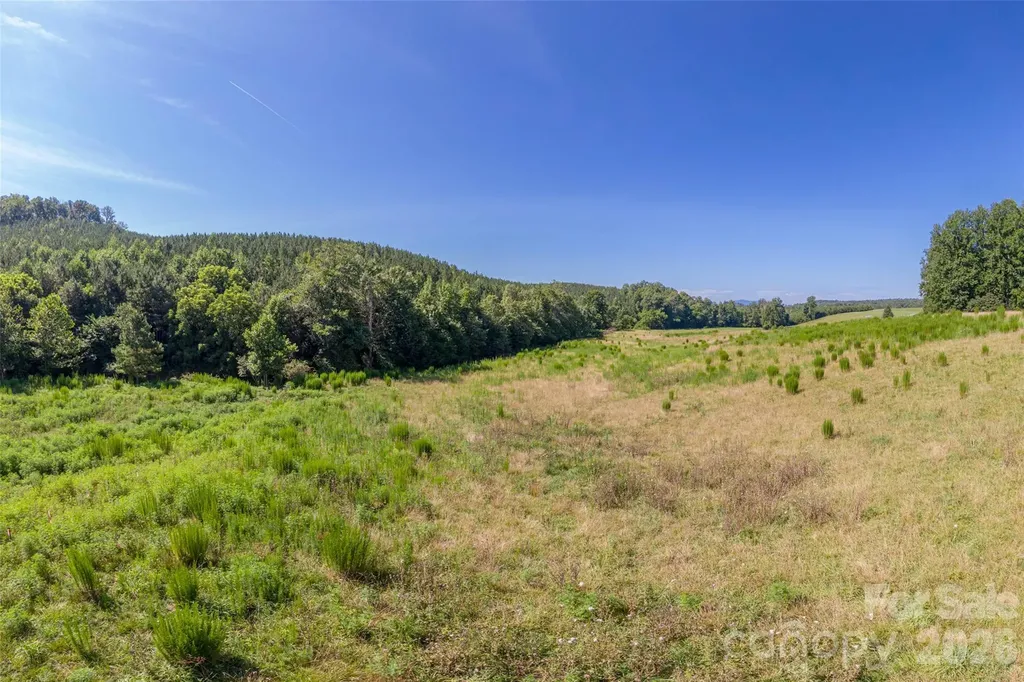621 Pleasant Grove Road Rutherfordton NC 28139