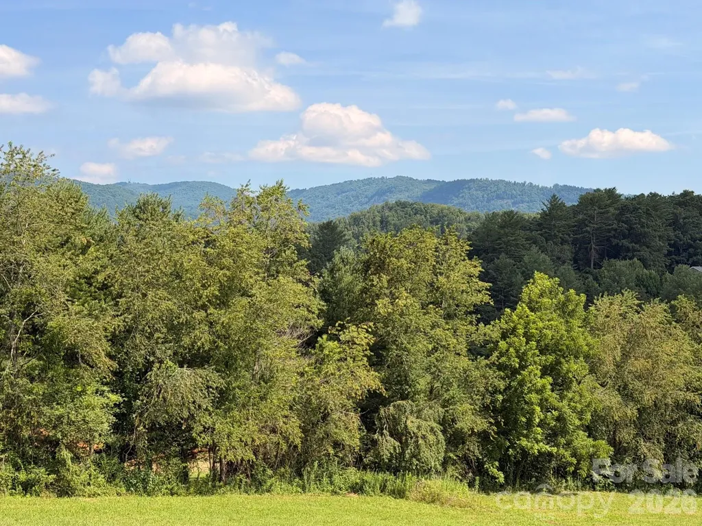 82 Sharon Road Fairview NC 28730