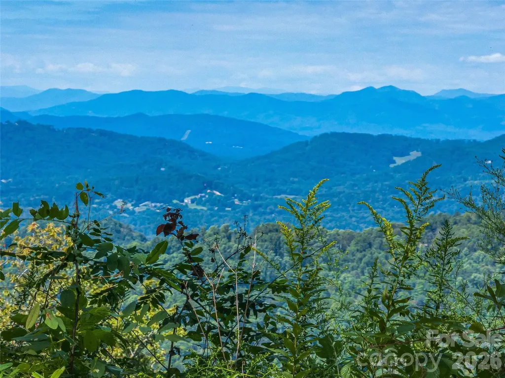 632 Justus Case Mountain Place Hendersonville NC 28792