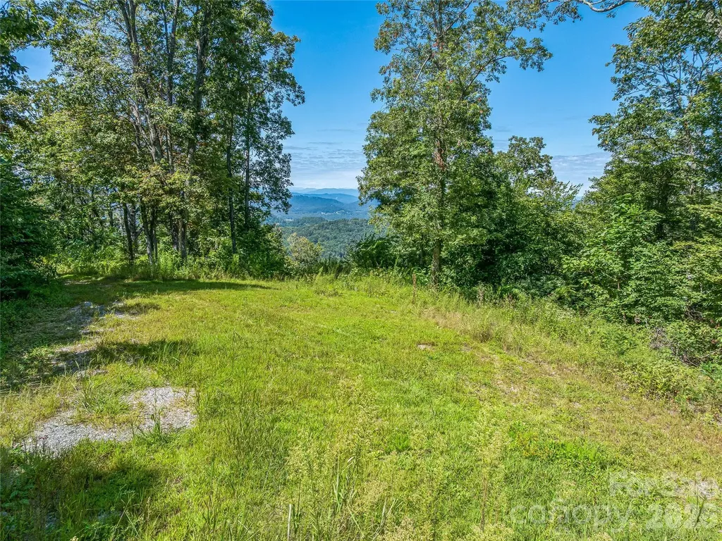 632 Justus Case Mountain Place Hendersonville NC 28792