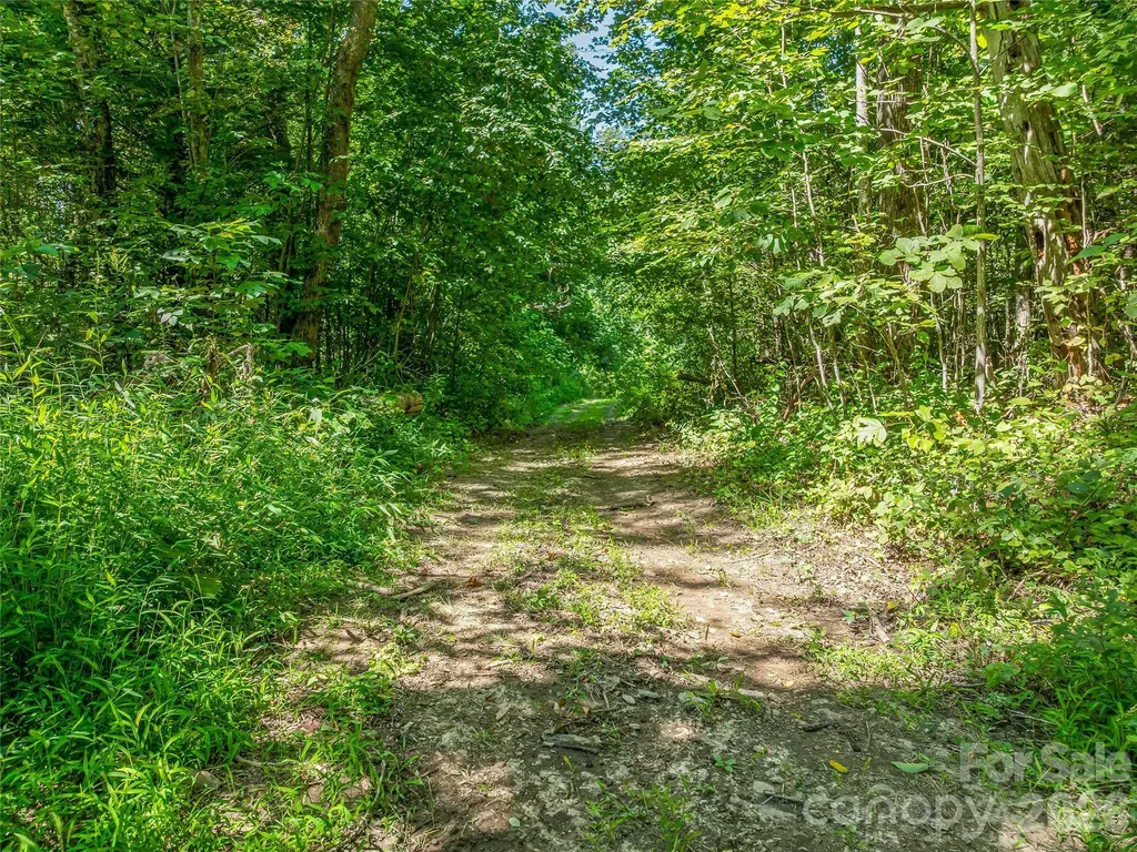 632 Justus Case Mountain Place Hendersonville NC 28792