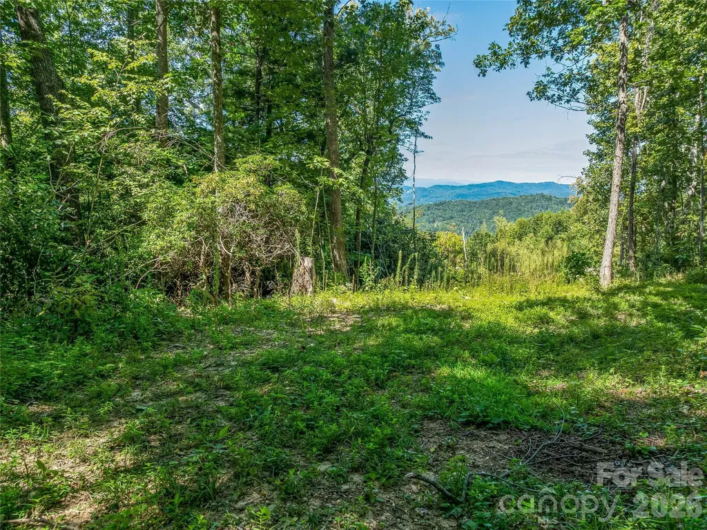 632 Justus Case Mountain Place Hendersonville NC 28792