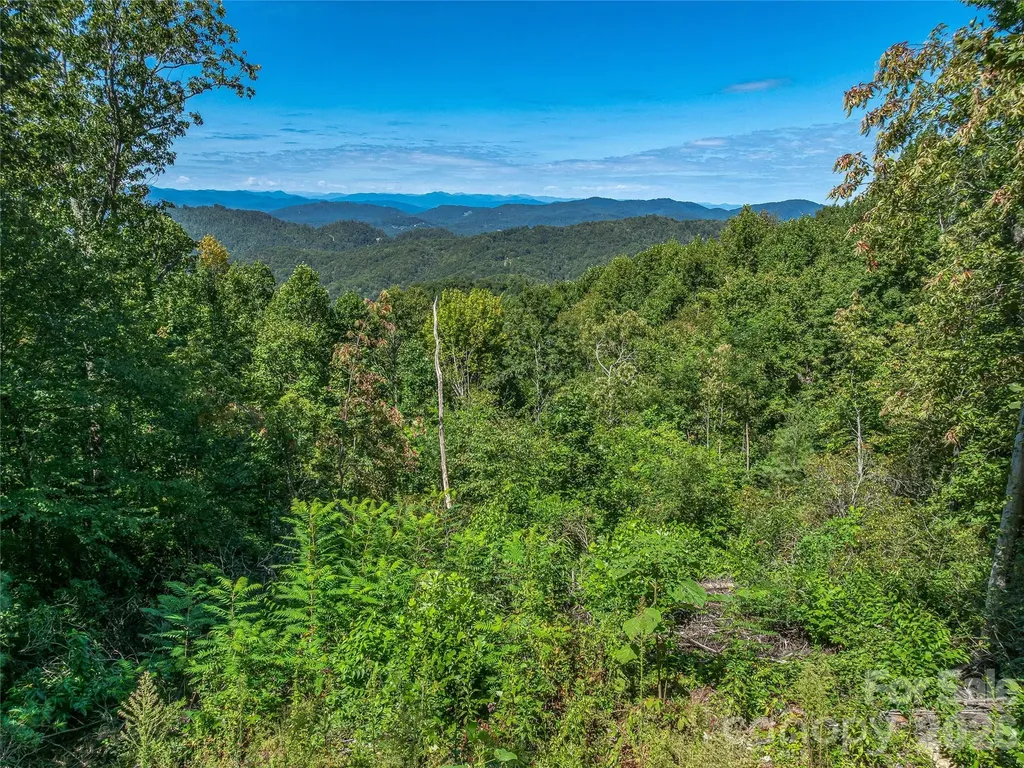 632 Justus Case Mountain Place Hendersonville NC 28792