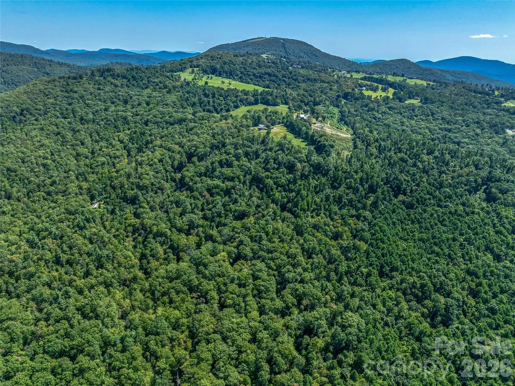 632 Justus Case Mountain Place Hendersonville NC 28792