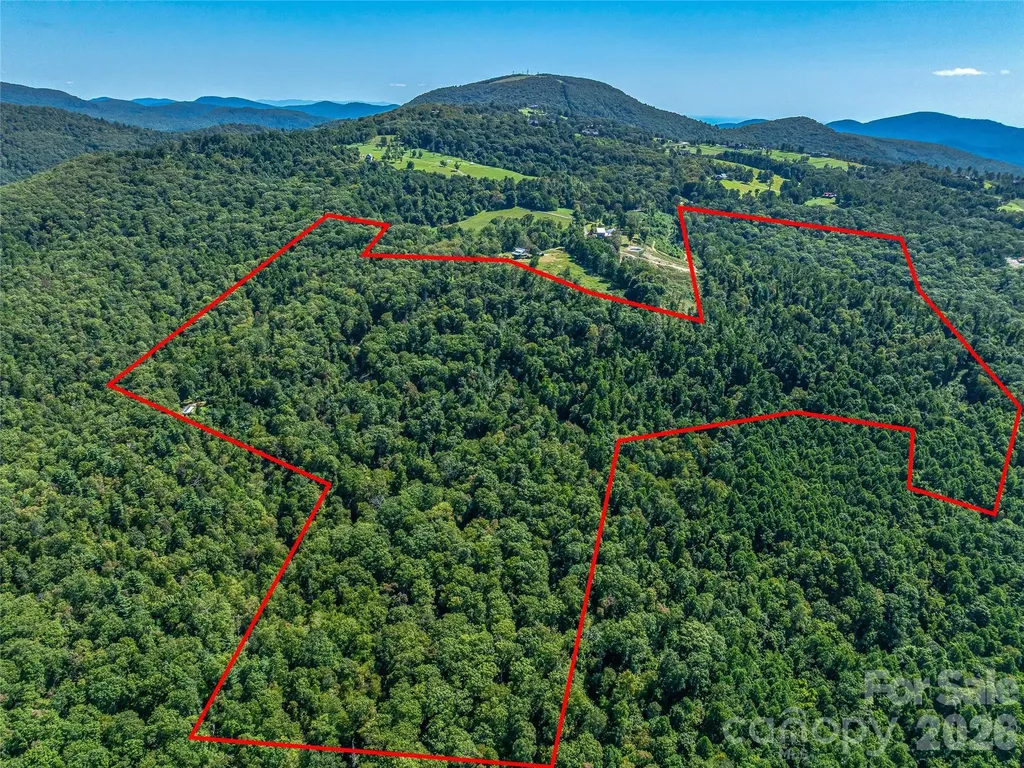 632 Justus Case Mountain Place Hendersonville NC 28792