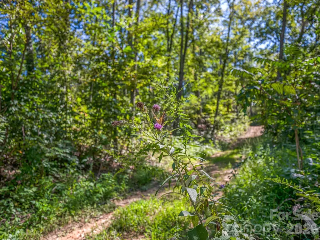 632 Justus Case Mountain Place Hendersonville NC 28792