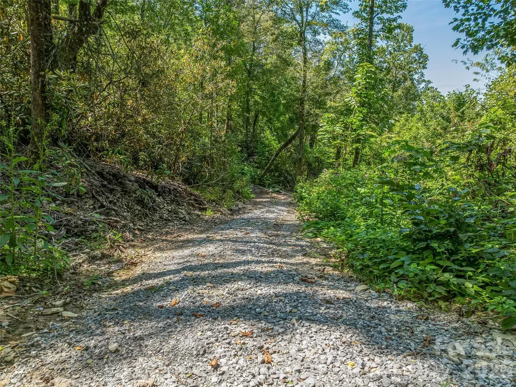 632 Justus Case Mountain Place Hendersonville NC 28792