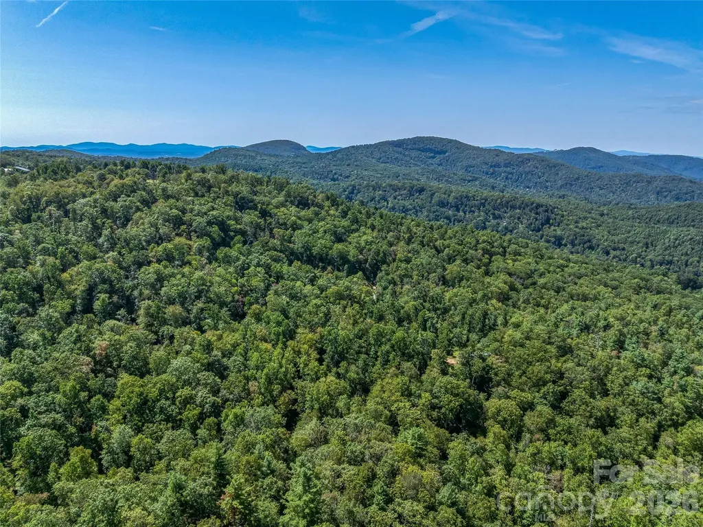 632 Justus Case Mountain Place Hendersonville NC 28792