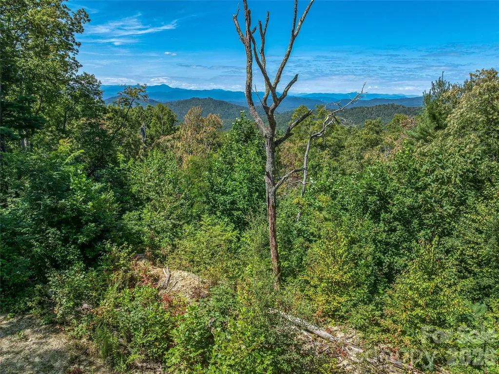 632 Justus Case Mountain Place Hendersonville NC 28792