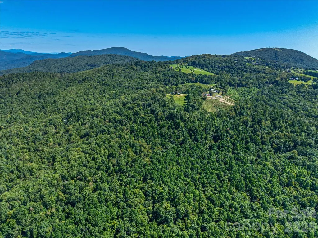 632 Justus Case Mountain Place Hendersonville NC 28792