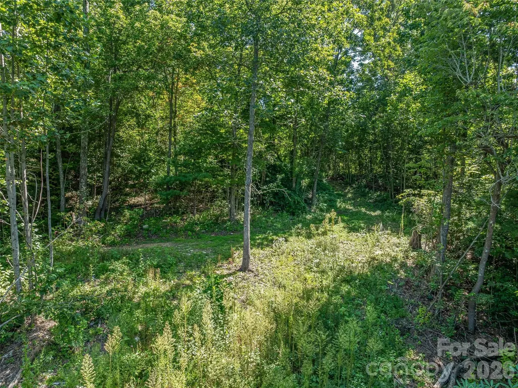632 Justus Case Mountain Place Hendersonville NC 28792
