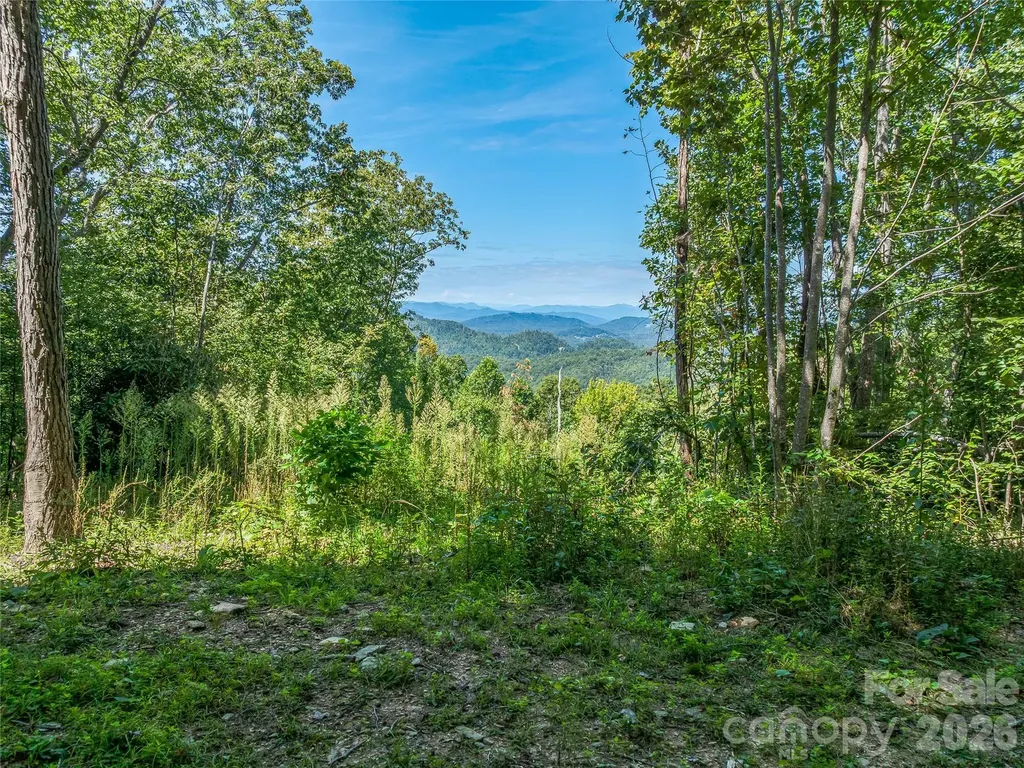 632 Justus Case Mountain Place Hendersonville NC 28792