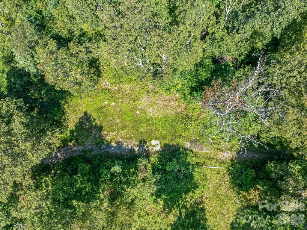 632 Justus Case Mountain Place Hendersonville NC 28792