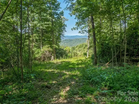 632 Justus Case Mountain Place Hendersonville NC 28792