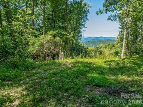 632 Justus Case Mountain Place Hendersonville NC 28792
