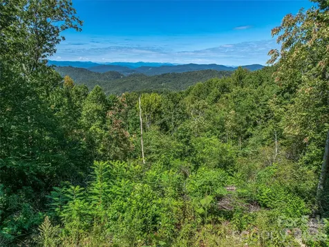 632 Justus Case Mountain Place Hendersonville NC 28792