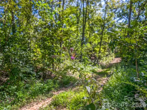632 Justus Case Mountain Place Hendersonville NC 28792