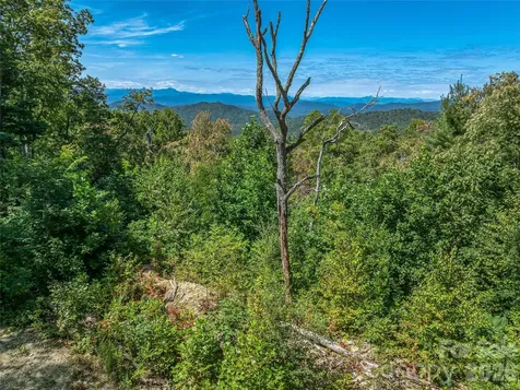 632 Justus Case Mountain Place Hendersonville NC 28792