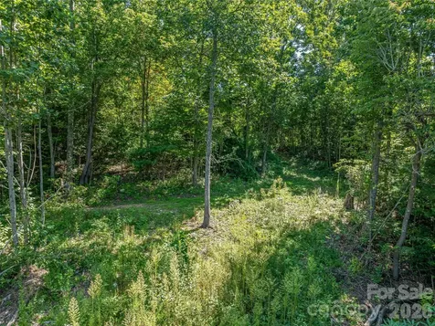 632 Justus Case Mountain Place Hendersonville NC 28792