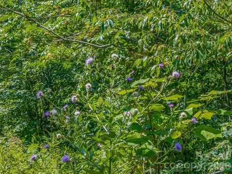 632 Justus Case Mountain Place Hendersonville NC 28792
